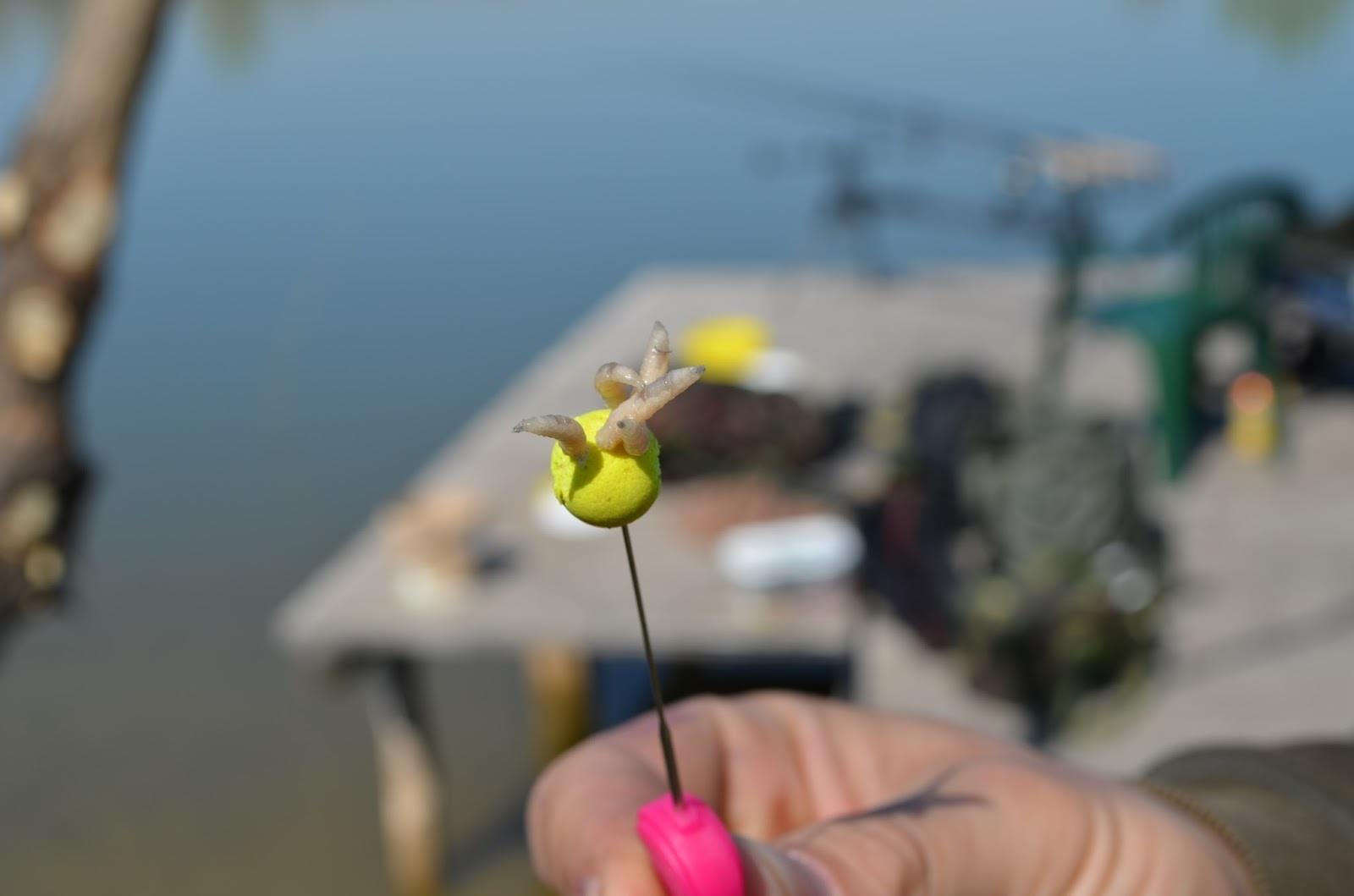 Teslui 2014 - part 2 - image1111111111111111111111.jpg